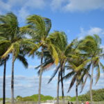 Discovering The Chinese Lantern Festival — Where The East Meets The West (Boca That Is)