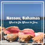 Picking That Perfect College Roommate May Be Harder Than Finding A Date On Tinder