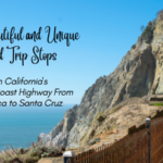 The Humorous 12 Days of Winter Break Takes On A New Tune