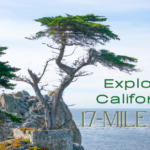 What is International Women’s Day and Why We Celebrate It